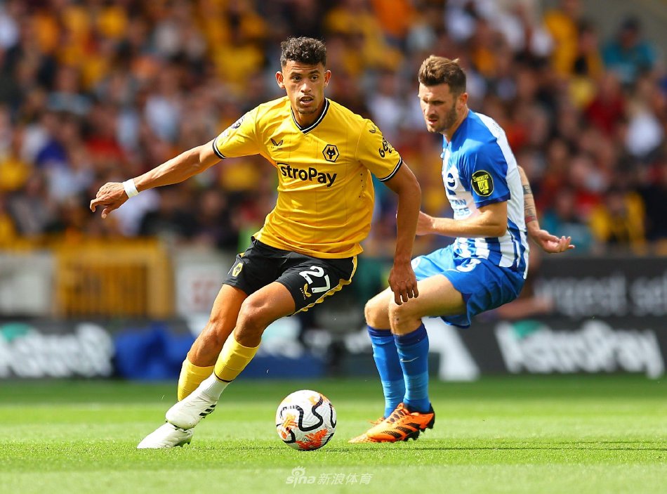 以往的许多 以往的许多